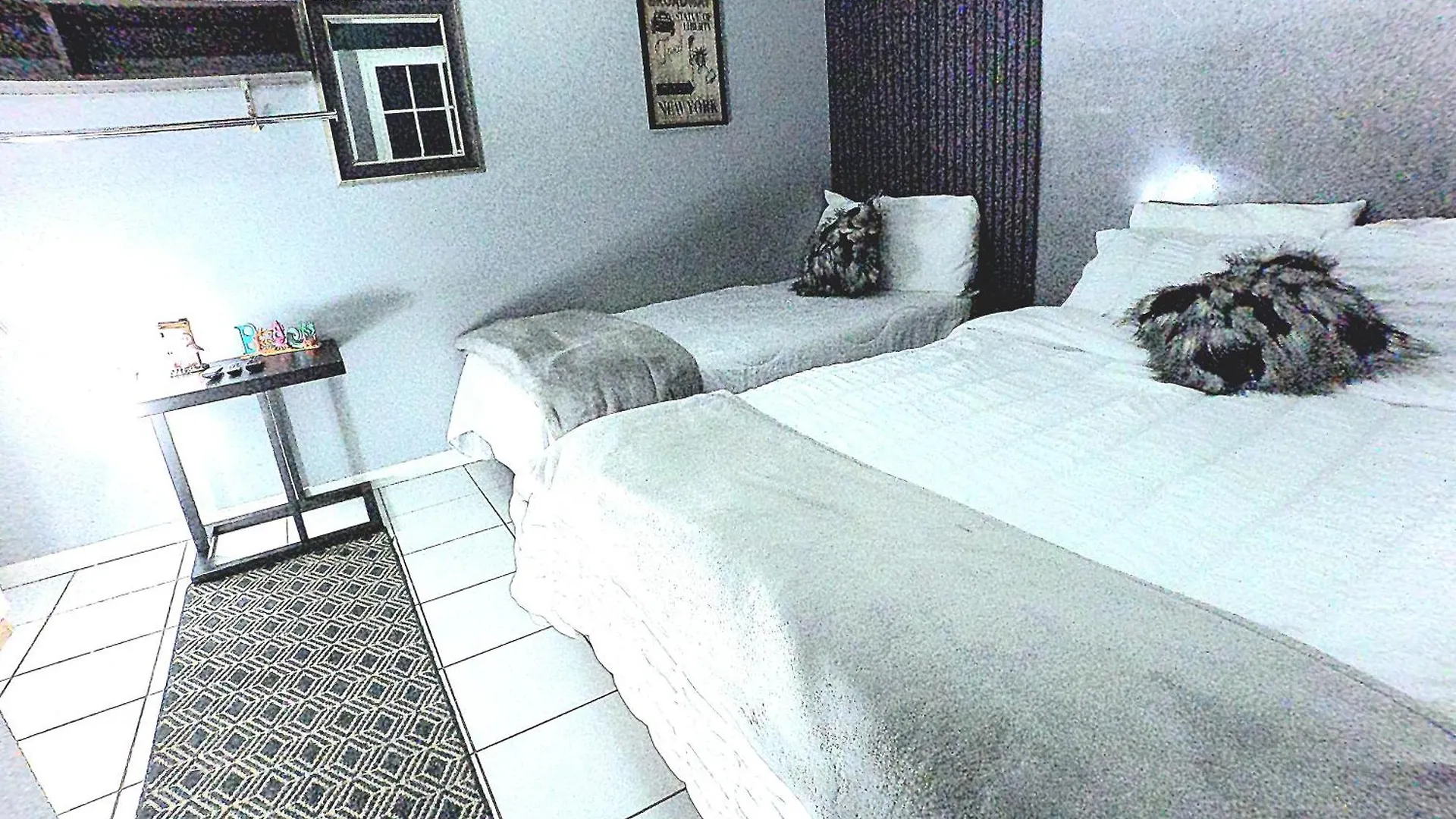 Bushwa Apartments # 4 , 5 Estrellas Oranjestad 0*,