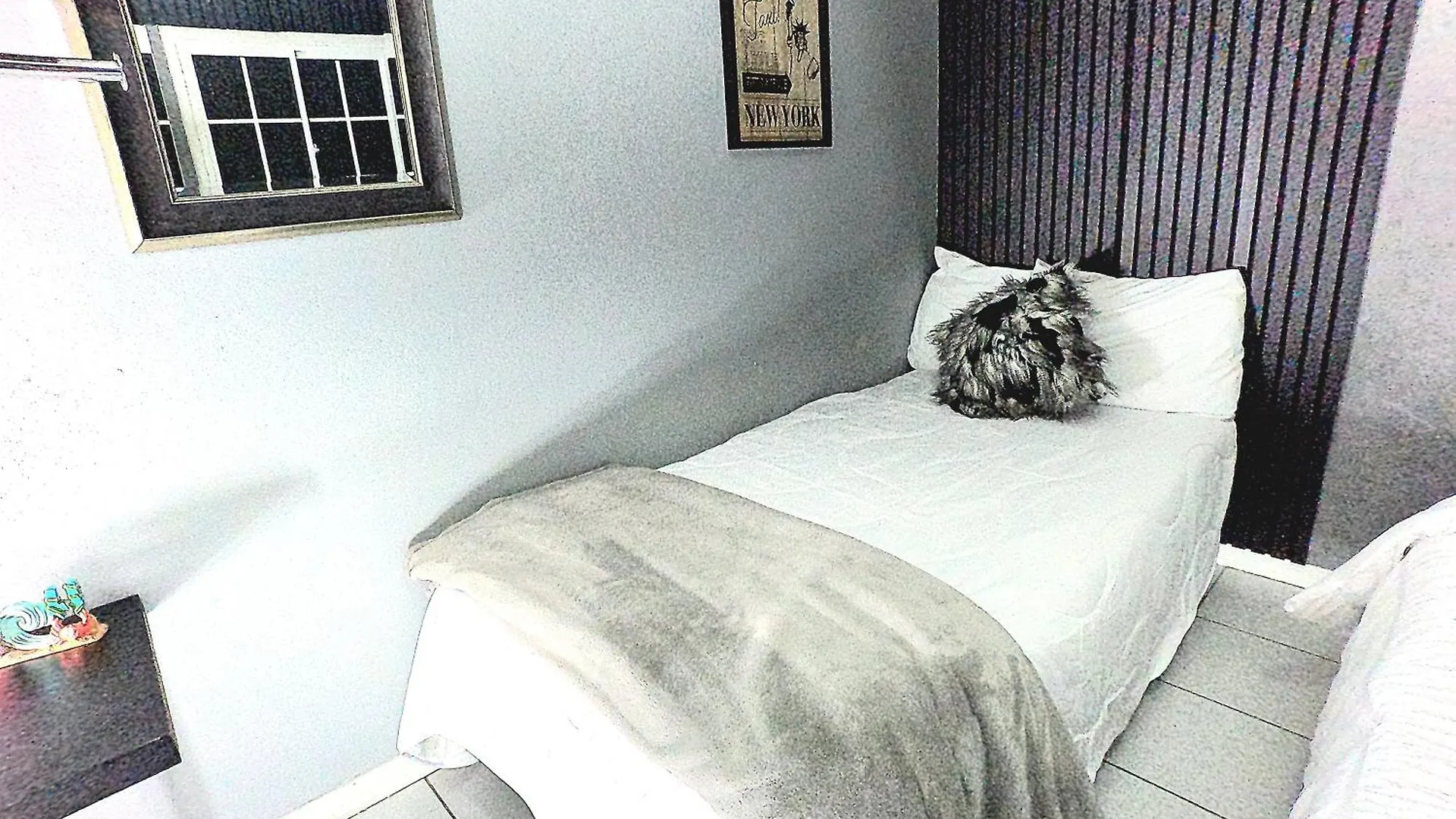 Bushwa Apartments # 4 , 5 Estrellas Oranjestad