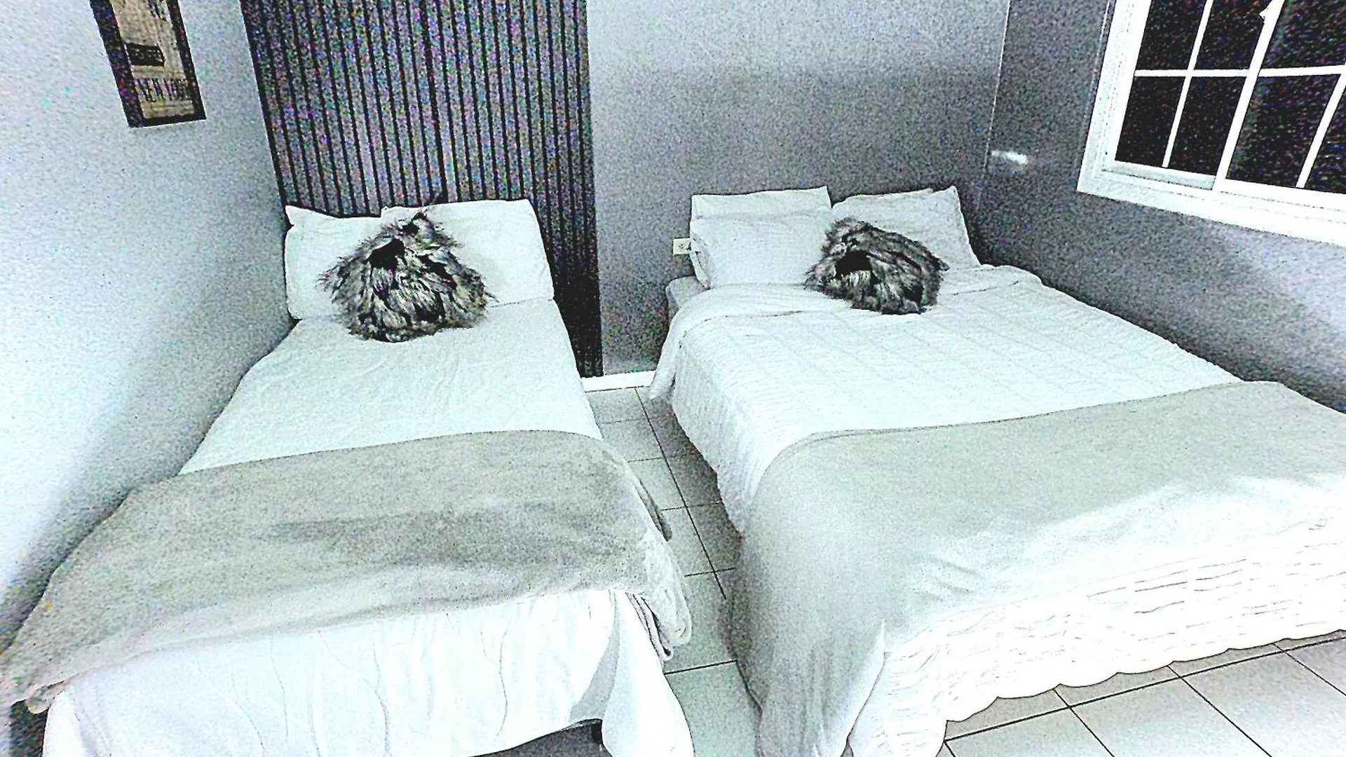 Bushwa Apartments # 4 , 5 Estrellas Oranjestad