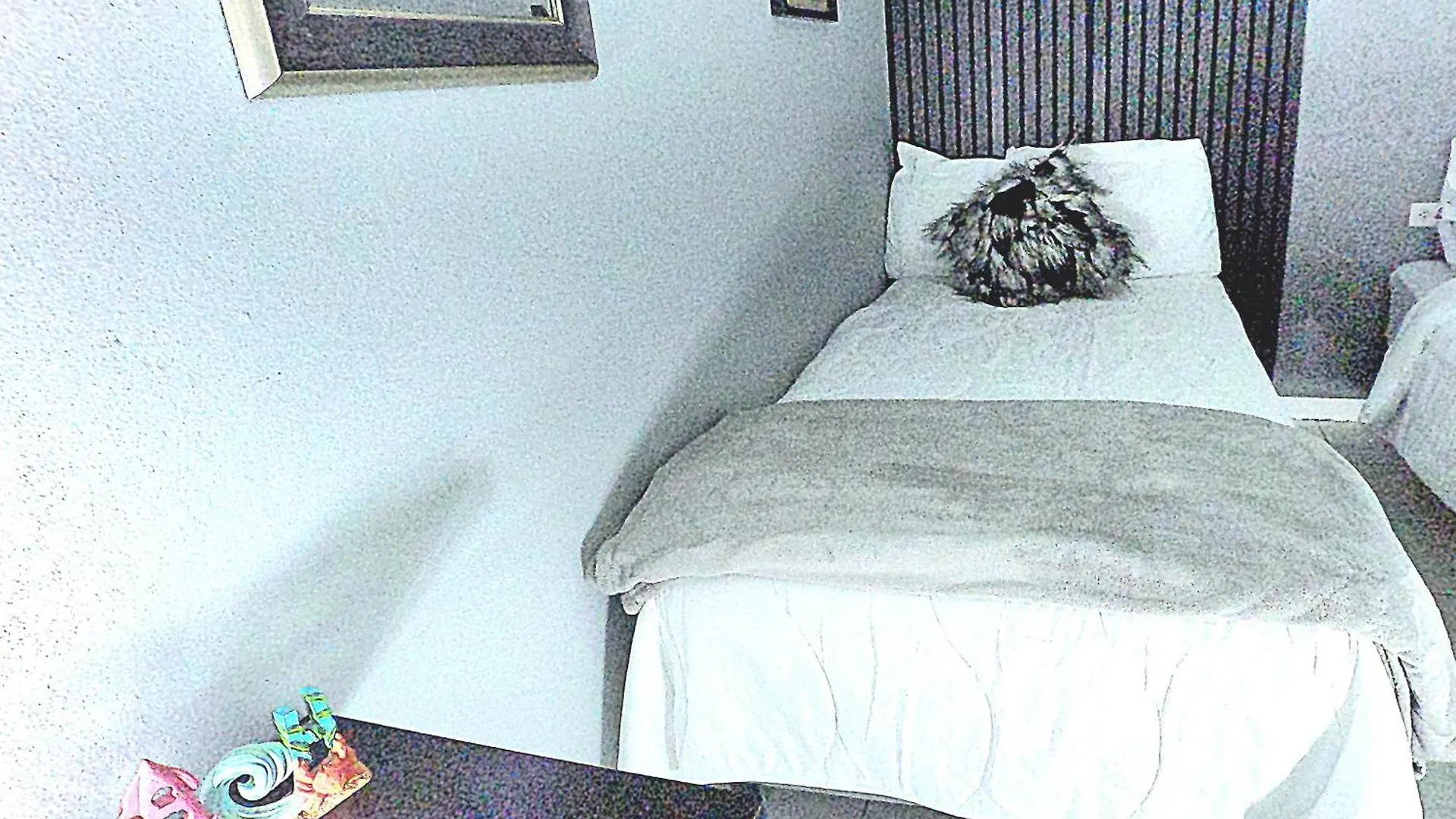 Bushwa Apartments # 4 , 5 Estrellas Oranjestad 0*,