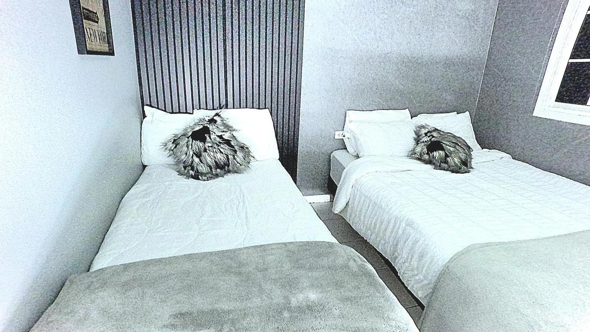 Bushwa Apartments # 4 , 5 Estrellas Oranjestad